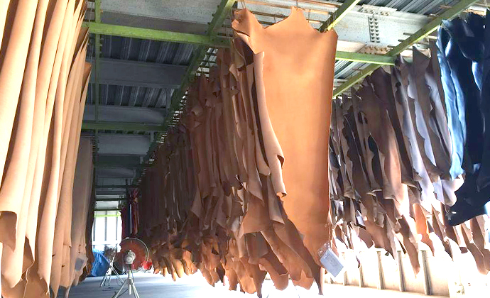 工場内に革を吊るし、ゆっくりと乾燥させる
